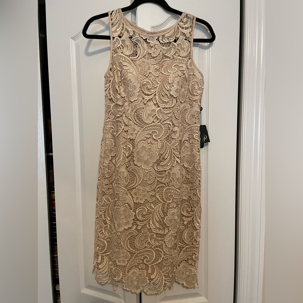 Adrianna Papell Gold Lace Elegance